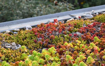 the cost of Brockton green roof installation
