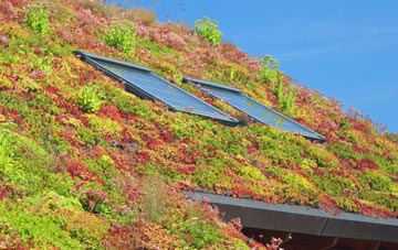 Brockton living roof systems
