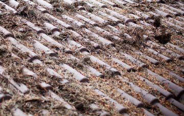 Brockton roof cleaning companies